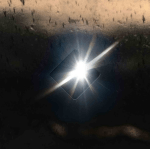 Screen Shot 2017-12-12 at 01.26.15