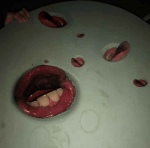 Screen Shot 2018-12-12 at 12.12.17