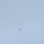 Screen Shot 2018-12-12 at 12.15.05